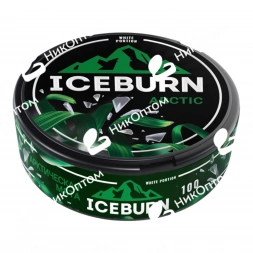 ICEBURN - ARCTIC - Арктическая Мята (100mg)